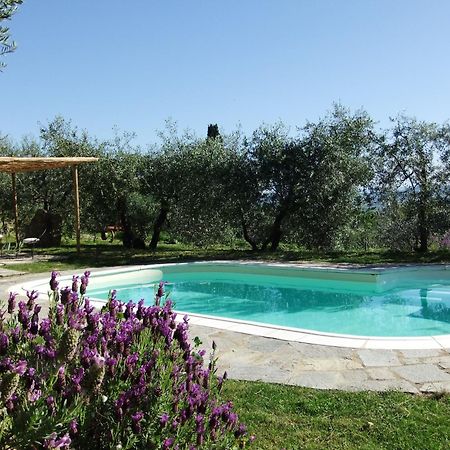 Agriturismo Il Castagnolino ซานจีมิญญาโน ภายนอก รูปภาพ