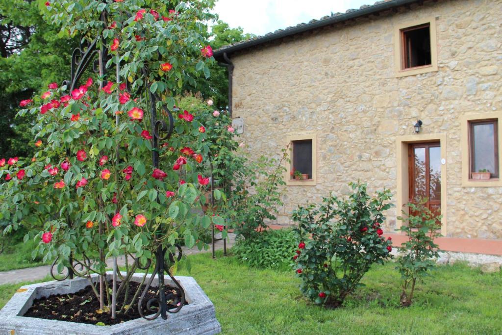 Agriturismo Il Castagnolino ซานจีมิญญาโน ห้อง รูปภาพ